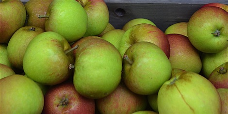 apples
